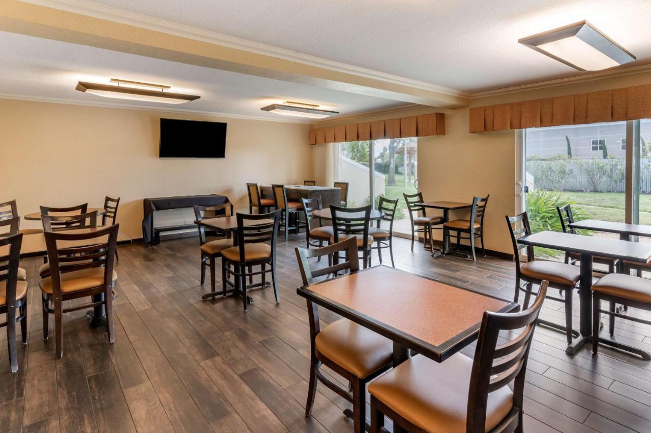 Hotel Best Western Plus Garden Court 3*